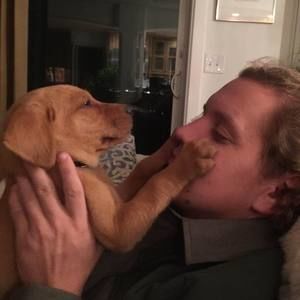 Meet your Posher, William